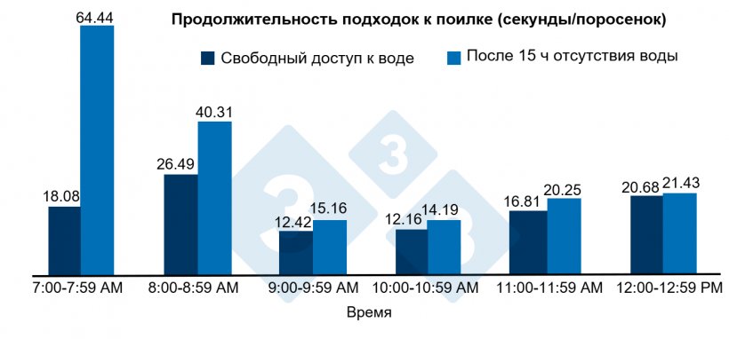 Рисунок 2. Продолжительность подходов к поилке после 15 ч отсутствия воды или при свободном&nbsp;доступе&nbsp;к воде.
